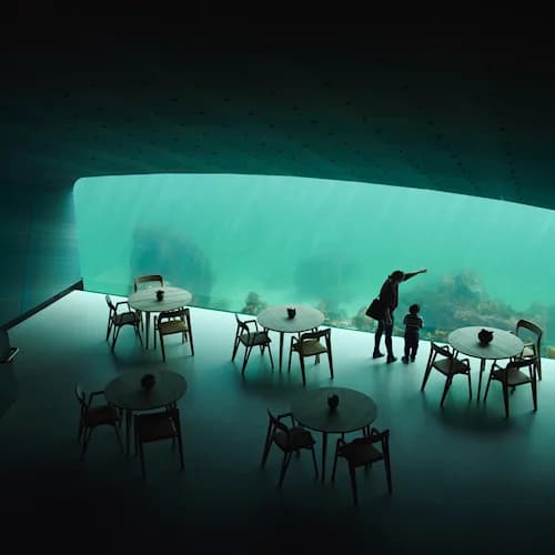 Softcell customised acoustic solutions used in the ceiling and on walls at undersea in denmark