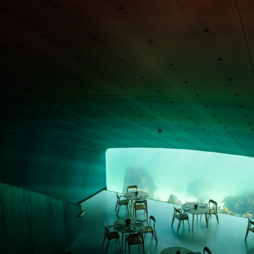 Multicoloured custom Softcell Soft Cells acoustic solution in different geometries used in the ceiling passage at iconic under-sea restaurant Under in Lindenes, Norway. Designed by Snøhetta architects.